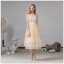 Fashion Champagne Homecoming Graduation Dresses 2020 A-Line / Princess Spaghetti Straps Lace Sleeveless Backless Tea-length Formal Dresses