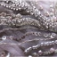 Charmant Perle Rose Robe De Bal 2021 Princesse Col v profond Perlage Paillettes Sans Manches Dos Nu Train De Balayage Robe De Ceremonie