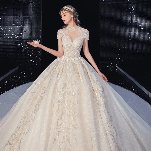 Luxury / Gorgeous Champagne Glitter Wedding Dresses 2020 A-Line / Princess Scoop Neck Beading Tassel Rhinestone Lace Flower Short Sleeve Backless Royal Train