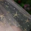 Sparkly Bling Bling Gold Wedding Appliques Lace Tulle Short Wedding Veils 2019
