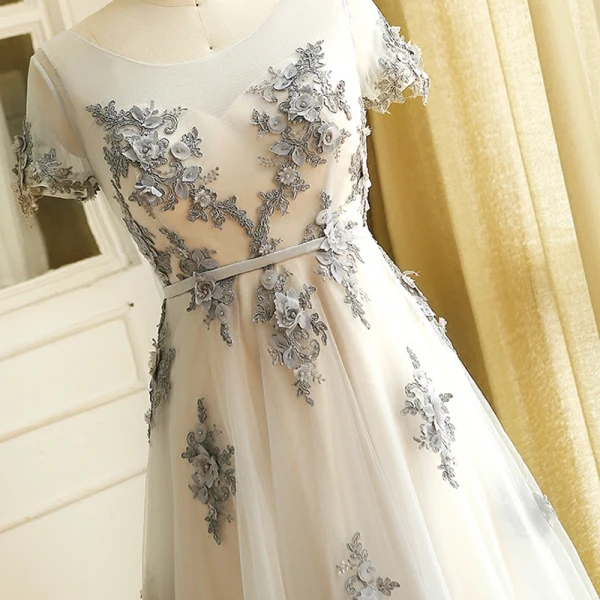Luxury / Gorgeous Grey Plus Size Evening Dresses 2018 A-Line / Princess U-Neck Tulle Lace-up Ankle Strap Appliques Backless Evening Party Prom Dresses