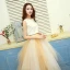 2 Piece Gold Prom Dresses 2017 A-Line / Princess U-Neck Tulle Sleeveless Embroidered Evening Party Formal Dresses