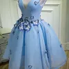 Chic / Beautiful Sky Blue Graduation Dresses 2018 A-Line / Princess V-Neck Tulle Butterfly Appliques Backless Homecoming Formal Dresses