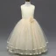 Chic / Beautiful Candy Pink Flower Girl Dresses 2017 A-Line / Princess U-Neck Appliques Lace Butterfly Wedding