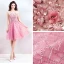 Chic / Beautiful Candy Pink Graduation Dresses 2018 A-Line / Princess U-Neck Tulle Appliques Beading Feather Sequins Homecoming Cocktail Party Formal Dresses