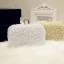 Luksus Beading Perle Håndvesken  2018