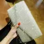 Scintillantes Argenté Glitter Faux Diamant Gland Pochette 2018