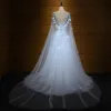 Elegant Formal Dresses 2017 Prom Dresses Sky Blue Chapel Train A-Line / Princess Cascading Ruffles V-Neck Sleeveless Backless Butterfly Appliques Flower Beading Crystal Pearl