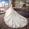 Elegant Ivory See-through Wedding Dresses 2018 Ball Gown Scoop Neck 3/4 Sleeve Backless Appliques Pierced Lace Royal Train Ruffle