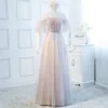 Chic / Beautiful Blushing Pink Evening Dresses  2018 A-Line / Princess See-through Scoop Neck 1/2 Sleeves Appliques Flower Floor-Length / Long Ruffle Backless Formal Dresses