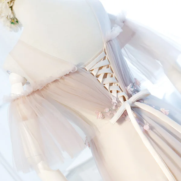 Chic / Beautiful Blushing Pink Evening Dresses 2018 A-Line / Princess See-through Scoop Neck 1/2 Sleeves Appliques Flower Floor-Length / Long Ruffle Backless Formal Dresses