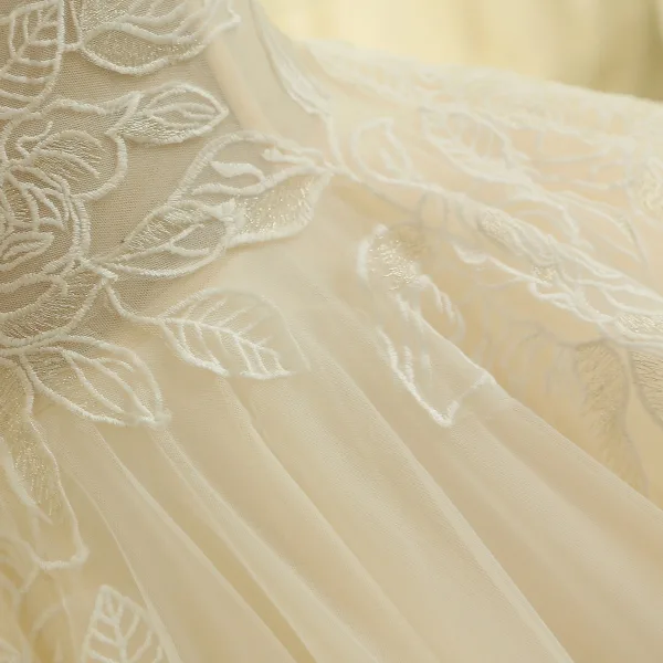Simple Champagne Robe De Mariée 2018 Robe Boule Transparentes Encolure Dégagée 1/2 Manches Dos Nu Appliques En Dentelle Train De Balayage Volants