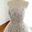 Charmant Gris Transparentes Robe De Bal 2018 Princesse Encolure Dégagée Sans Manches Appliques En Dentelle Tribunal Train Volants Robe De Ceremonie