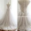 Charmant Gris Transparentes Robe De Bal 2018 Princesse Encolure Dégagée Sans Manches Appliques En Dentelle Tribunal Train Volants Robe De Ceremonie