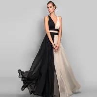 Two Tone Color block Chiffon Maxi Dresses 2018 Empire V-Neck Sleeveless Floor-Length / Long Ruffle Backless Women's Clothing