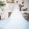 Stunning White Gradient-Color Sky Blue Pierced Wedding Dresses 2017 Ball Gown Scoop Neck 3/4 Sleeve Appliques Lace Cathedral Train