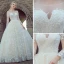 Stunning Champagne Pierced Wedding Dresses 2017 Ball Gown Scoop Neck Long Sleeve Backless Appliques Lace Chapel Train