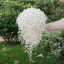 Stunning White Handmade  Pearl Wedding Flowers 2022 Accessories