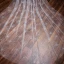 Scintillantes Doré Glitter Voile De Mariée 2019