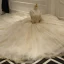 Luxe Champagne Robe De Mariée 2018 Dos Nu Robe Boule Perlage Paillettes Bretelles Spaghetti Sans Manches Royal Train Mariage
