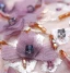 Schöne Violett Abendkleider 2020 A Linie Off Shoulder Perlenstickerei Applikationen Blumen Spitze Pailletten Ärmellos Rückenfreies Lange Festliche Kleider