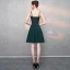 Modest / Simple Blushing Pink Homecoming Graduation Dresses 2018 A-Line / Princess Backless Spaghetti Straps Sleeveless Short Prom Dresses