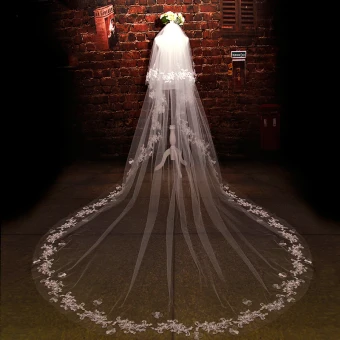 Luxe 2017 Blanche Appliques Tulle Dentelle Soirée Voile De Mariée
