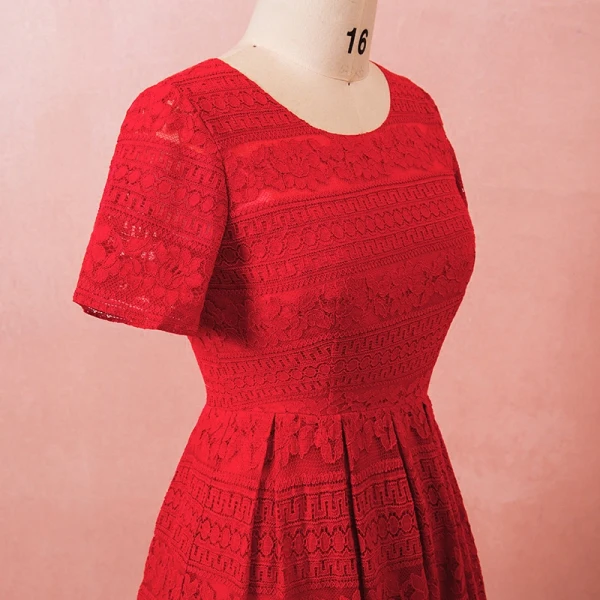 Chic / Beautiful Red Plus Size Graduation Dresses 2018 A-Line / Princess U-Neck Lace-up Tulle Printing Embroidered Homecoming Formal Dresses