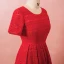 Chic / Beautiful Red Plus Size Graduation Dresses 2018 A-Line / Princess U-Neck Lace-up Tulle Printing Embroidered Homecoming Formal Dresses