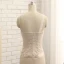 Luxury / Gorgeous Champagne With Shawl Trumpet / Mermaid Mother Of The Bride Dresses 2019 Lace Satin U-Neck Appliques Backless Embroidered Church Wedding Party Dresses