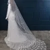Elegant White Wedding Veils 2017 Tulle Embroidered Wedding