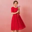 Chic / Beautiful Red Plus Size Graduation Dresses 2018 A-Line / Princess U-Neck Lace-up Tulle Printing Embroidered Homecoming Formal Dresses