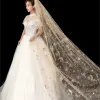 Romantic Sparkly Champagne Wedding Veils 2020 Glitter Sequins Tulle Chapel Train Wedding Accessories