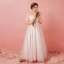 Chic / Beautiful Champagne Plus Size Prom Dresses 2018 A-Line / Princess Tulle U-Neck Lace-up Strappy Appliques Backless Evening Party Prom Formal Dresses