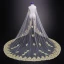 Luxury / Gorgeous Champagne Royal Train Wedding Tulle Lace Appliques 3.5 m Wedding Veils 2018