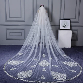 Amazing Unique White Wedding Cathedral Train Appliques Lace Tulle Wedding Veils 2018
