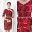 Bling Bling Burgundy Party Dresses 2018 V-Neck 1/2 Sleeves Metal Sash Beading Sequins Tassel Short Formal Dresses