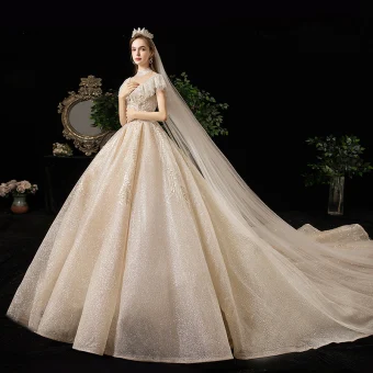 Meilleure Champagne Transparentes Robe De Mariée 2020 Princesse Col Haut Manches Courtes Dos Nu Glitter Tulle Appliques En Dentelle Perlage Royal Train Volants