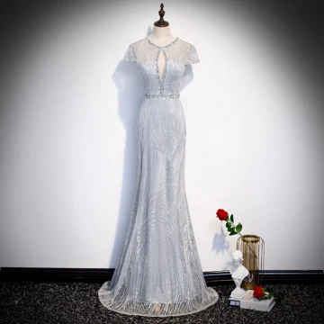 Best Silver See Through Evening Dresses 2020 Trumpet Mermaid Scoop Neck Short Sleeve Appliques Lace Beading Floor Length Long Backless Formal Dresses