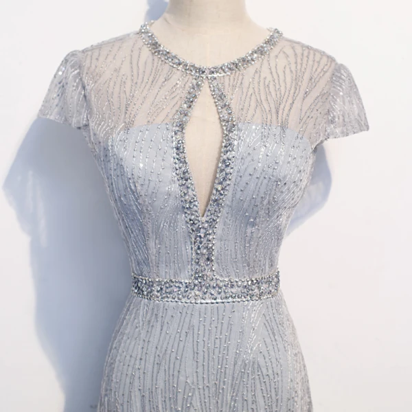 Best Silver See-through Evening Dresses 2020 Trumpet / Mermaid Scoop Neck Short Sleeve Appliques Lace Beading Floor-Length / Long Backless Formal Dresses
