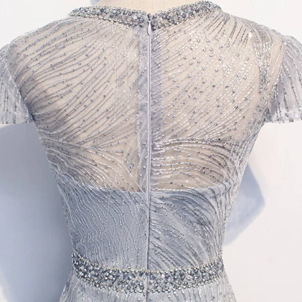 Best Silver See-through Evening Dresses 2020 Trumpet / Mermaid Scoop Neck Short Sleeve Appliques Lace Beading Floor-Length / Long Backless Formal Dresses