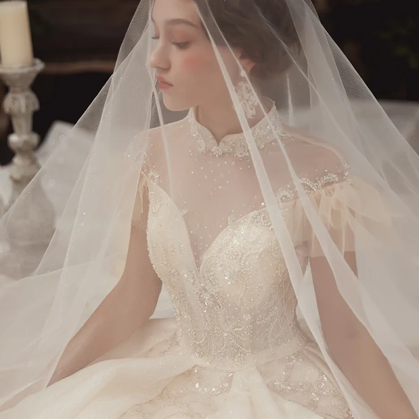Haut de Gamme Champagne Transparentes Robe De Mariée 2020 Robe Boule Col Haut Manches Courtes Dos Nu Fait main Perlage Glitter Tulle Royal Train