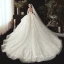 Best Champagne Wedding Dresses 2020 Ball Gown V-Neck 3/4 Sleeve Backless Appliques Lace Beading Pearl Chapel Train Ruffle