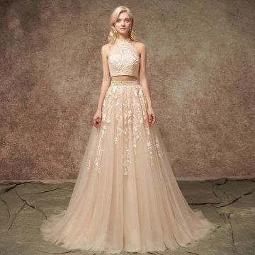 2 Piece Champagne Wedding Dresses 2020 A Line Princess Halter Sleeveless Backless Appliques Lace Beading Court Train Ruffle