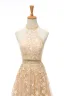 2 Piece Champagne Wedding Dresses 2020 A-Line / Princess Halter Sleeveless Backless Appliques Lace Beading Court Train Ruffle