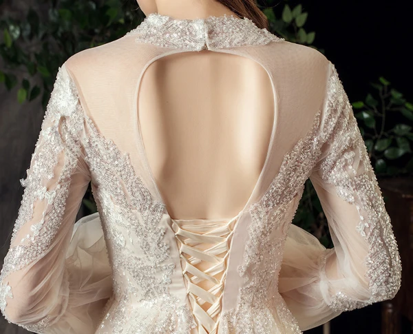 Erschwinglich Garten / Im Freien Champagner Durchsichtige Brautkleider / Hochzeitskleider 2020 A Linie V-Ausschnitt Geschwollenes Lange Ärmel Rückenfreies Glanz Pailletten Tülle Perlenstickerei Sweep / Pinsel Zug Rüschen