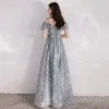 Chic / Beautiful Grey Evening Dresses  2020 A-Line / Princess Spaghetti Straps Puffy Short Sleeve Glitter Star Appliques Lace Floor-Length / Long Ruffle Backless Formal Dresses