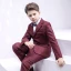 Mode Manches Longues Manteau Bordeaux à carreaux Costumes De Mariage pour garçons 2020