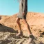 Eenvoudige Grijs Snowboots 2020 Wollen Leer Enkellaarsjes / Enkellaarzen Winter Platte Toevallig Ronde Neus Dames Laarzen