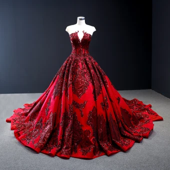 High End Red Red Carpet See Through Evening Dresses 2023 A Line Princess Scoop Neck Sleeveless Appliques Lace Sequins Cathedral Train Ruffle Backless